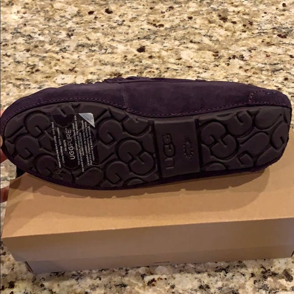 UGG Dakota Authentic New in the box - Picture 2 of 5